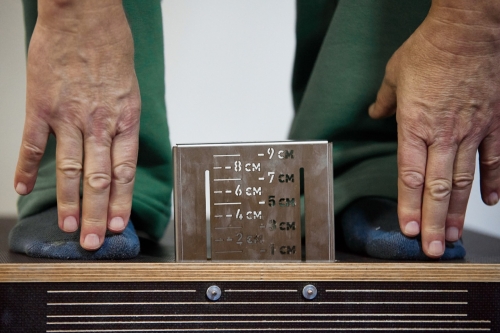 Спартакиада пенсионеров России