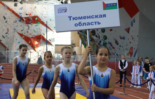 Вступили в борьбу за награды